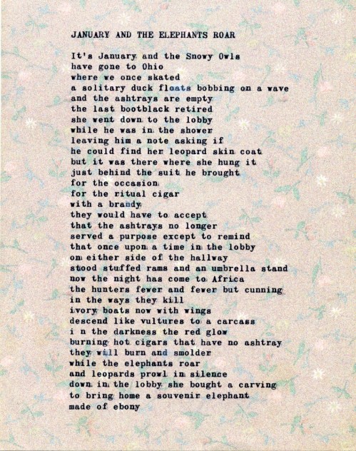 JANUARY AND THE ELEPHANTS ROAR