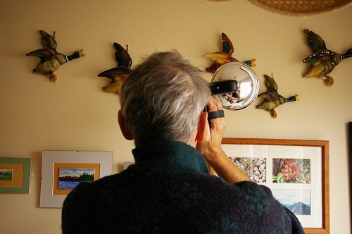 wall ducks in flight