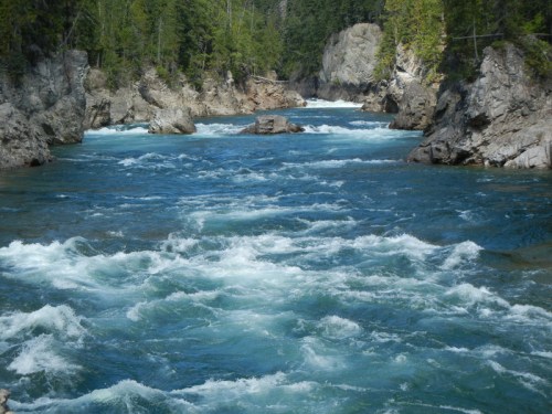 drink this, it's delicious