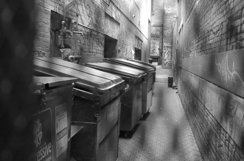 trash bin alley