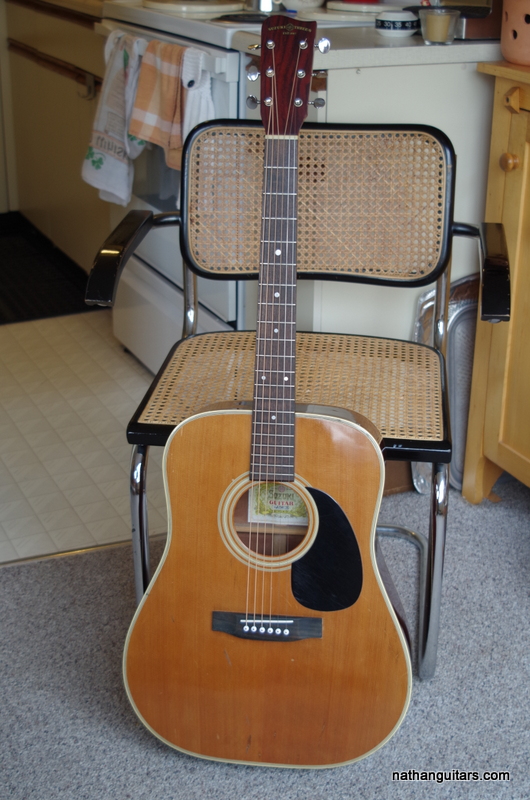Hail Suzuki of Nagoya | nathanguitars