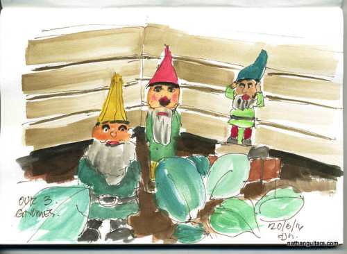 who's that new gnome?