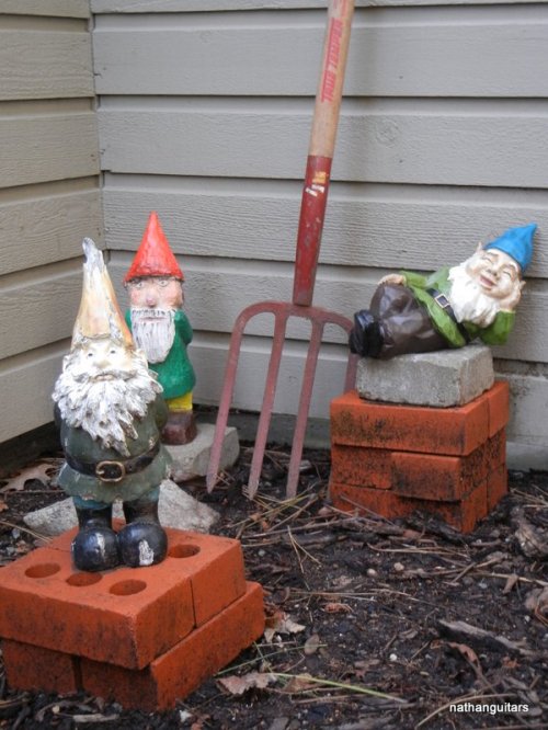 Bienstock, Einstein & Fiacre